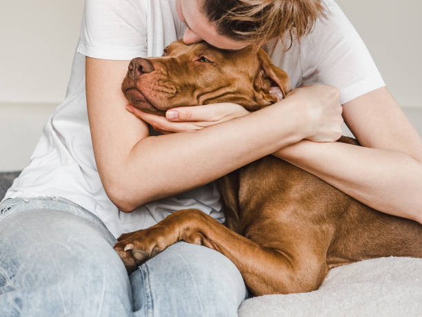 istock Young woman hugging a cute dog. Sunny day 1485416165