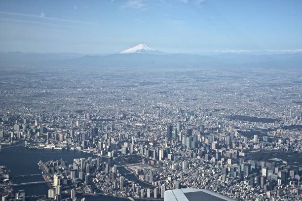 istock Tokyo seen from the sky 1485417681