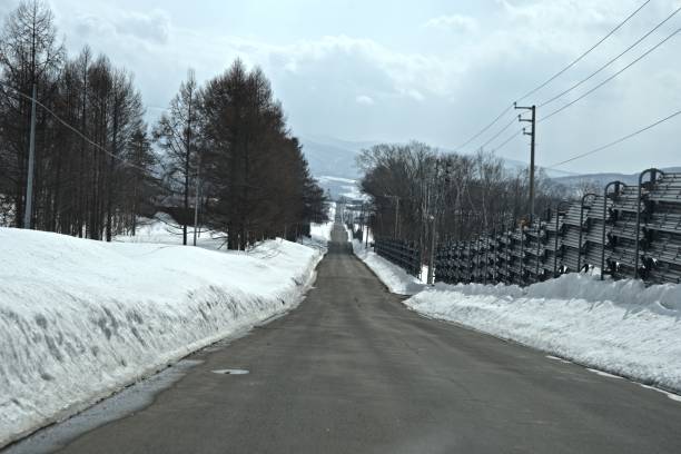 istock straight road in Hokkaido 1485418313