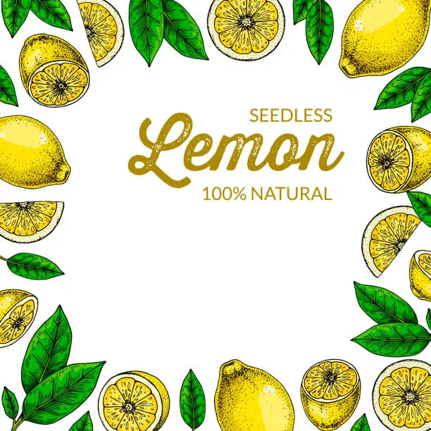Vector illustration of Lemon square background. Colorful vector illustration in sketch style. Design can be used for packaging, social media post, prints, cards, decoration