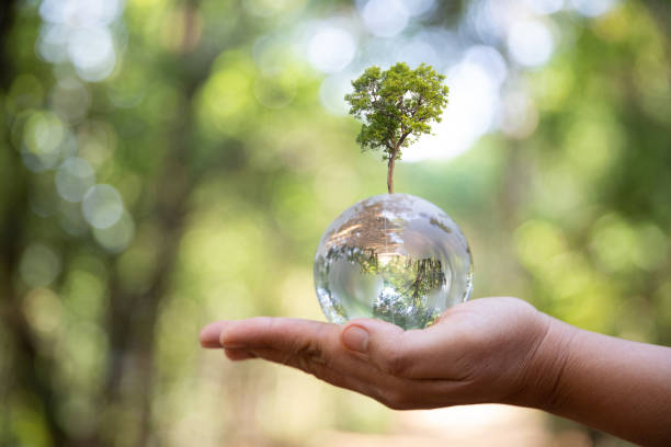 istock Earth crystal glass globe ball and growing tree in human hand, environment day concept. Sustainable development of natural resources and the environment. Protecting the world's forest resources. 1485421979
