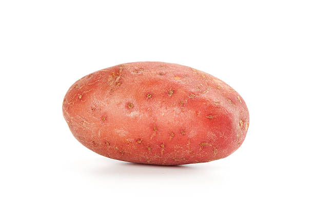 ziemniak - red potato raw potato isolated vegetable zdjęcia i obrazy z banku zdjęć