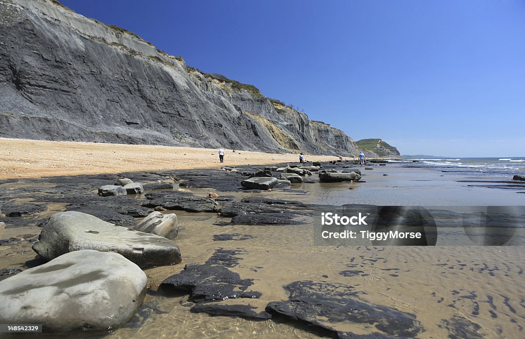 Fossil Hunters on Charmouth beach Charmouth Beach is the most well known area for fossil hunting along the Jurassic Coast of south west England. Charmouth Beach, near Lyme Regis in Dorset, England. Beach Stock Photo