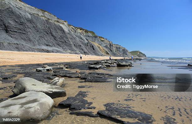 Fossil Hunters On Charmouth Beach Stock Photo - Download Image Now - Beach, Boulder - Rock, British Culture