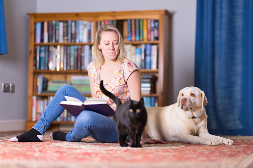 Casually dressed lady trying to read at home but being interrupted by her cat and dog. Focus on lady and dog.
