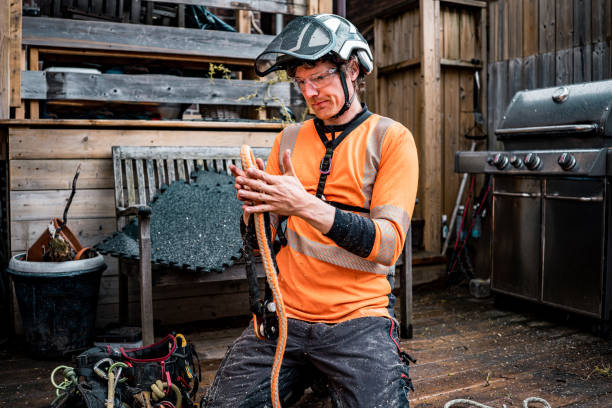 istock Young man packing gear after cutting the tree in urban back yard 1485429342