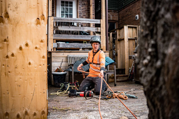 istock Young man packing gear after cutting the tree in urban back yard 1485429484