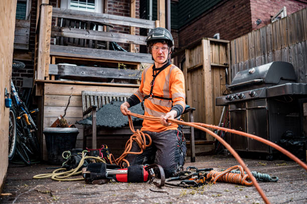 istock Young man packing gear after cutting the tree in urban back yard 1485429487