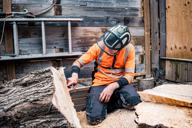 istock Young man  cutting the tree in urban back yard 1485429785