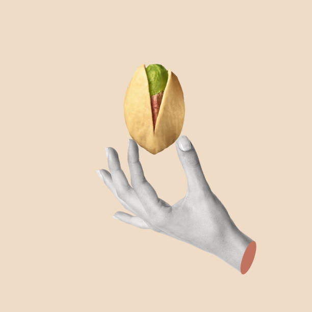 istock Creative art collage of hand with pistachio. 1485433938