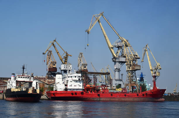 istock Working cranes in the port city 1485442681