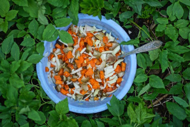 essen aus einem salat aus karotten, gurken und zwiebeln in einem blauen teller mit einer gabel - cooking oil plastic oil fork stock-fotos und bilder