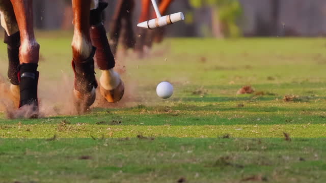Polo Ball On Grass Slow Motion