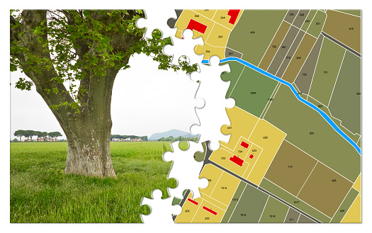Imaginary land Ccdastral map with lone tree on a rural scene with rural buildings, fields and land parcels - concept in jigsaw puzzle shape
