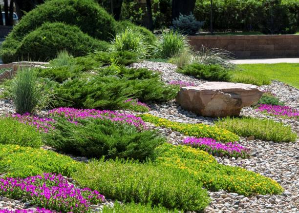 istock Lush and vibrant garden with an array of assorted plants featuring a central rock 1485447617