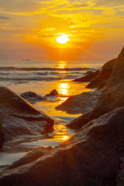 istock Sunrise at the Virginia Beach pier 1485448998