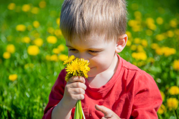 istock child picks and sniffs flowers spring allergy selective focus 1485449127