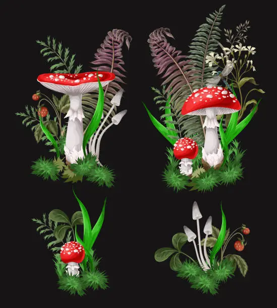 Vector illustration of Compositions with Fly agarics, mushroom, and plants isolated. Vector.