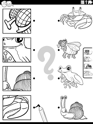 Black and white cartoon illustration of educational matching game with animal characters and pictures clippings coloring page