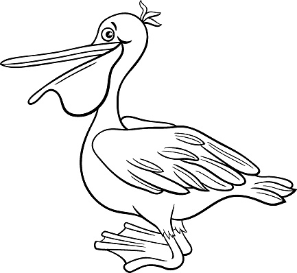 Black and white cartoon illustration of funny pelican bird animal character coloring page