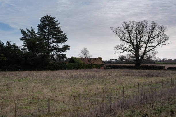 istock Derelict brick barn, Low Road, Great Plumstead, Norwich, Norfolk, UK 1485454261