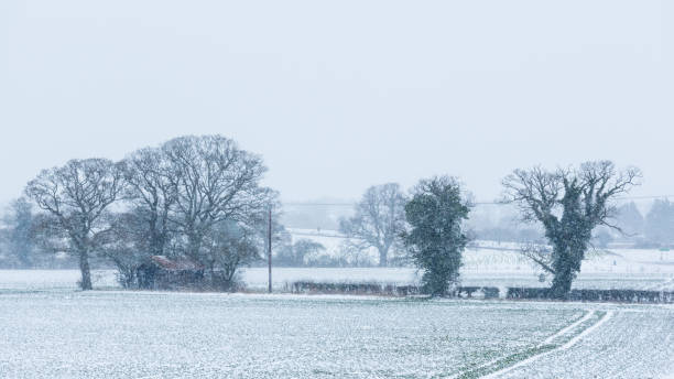 istock Snow falling over field with trees and derelict barn 1485454310