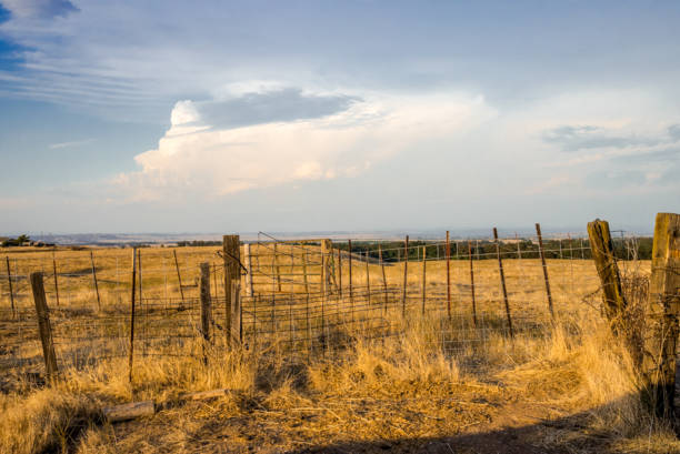 istock East Sacramento Evening Sky 1485455575