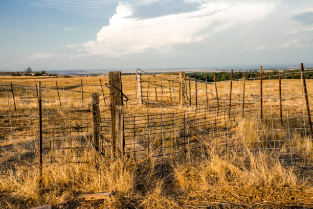 istock East Sacramento Evening Sky 1485455656