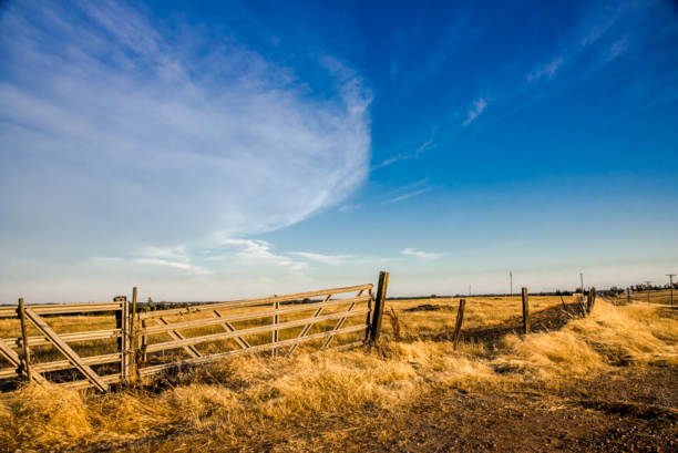 istock East Sacramento Evening Sky 1485455782