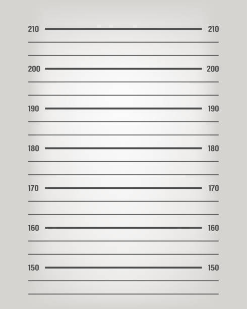 istock Police mugshot scale. Lineup background mockup. Centimeter police lineup. Mugshot background template. Old fashioned lineup background with light. Prisoner height photo mockup. Stock vector illustration 1485457863