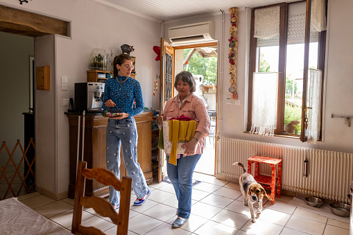 A mature woman who is blind, completing jobs in her home in Castelferrus, France, she is carrying a basket of laundry into her house after it has dried outdoors. Her daughter is walking along side her while they talk and their pet beagle is running in after them.