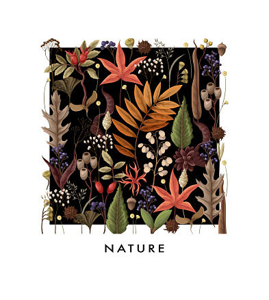Card with autumn leaves and dried plants isolated. Vector.