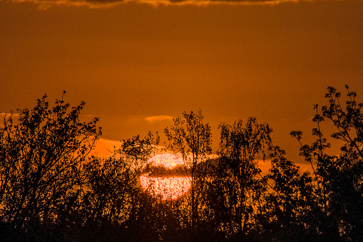 Panoramic photo of setting sun over the forest. Trees are seen as silhouettes and sunset sky is in vibrant red. Clouds have different tones of red to orange.