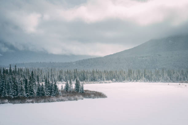 istock Snow Covered Lake in Canada 1485462783