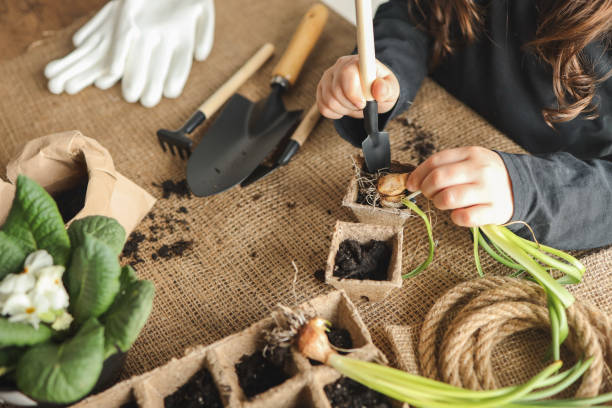 istock Girl doing gardening at home 1485463492