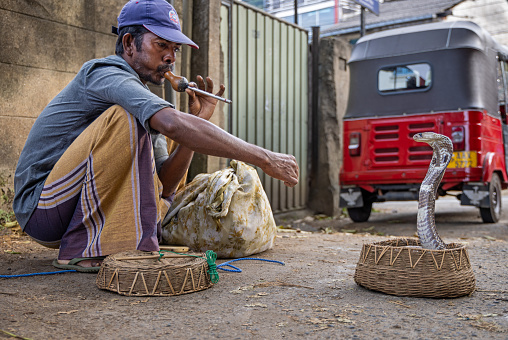Kandy, Central Province, Sri Lanka - February 25th 2023:  Snake charmer with his king cobra in front of a tuk tuk in a street in a suburb to the central city Kandy