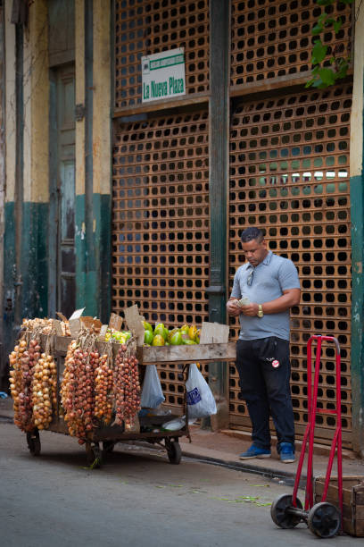 Hurghada, Egypt - 7th April 2012 - A vendor selling fruits and vegetable on his market stall