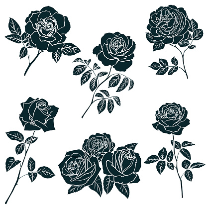 Black silhouette of rose isolated on white background. Vector illustration.