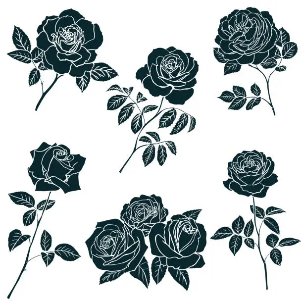 Vector illustration of Black silhouette of rose