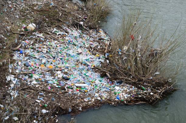 istock a trash and plastic on the river bank 1485489066