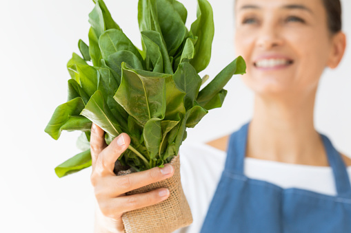 Unrecognizable caucasian female is holding a bunch of baby spinach  in front of white background. Representing healthy lifestyle concept.