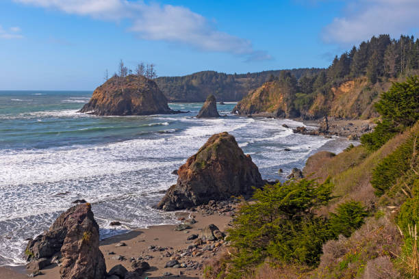 istock Sunny Morning on a Rocky Beach 1485490540