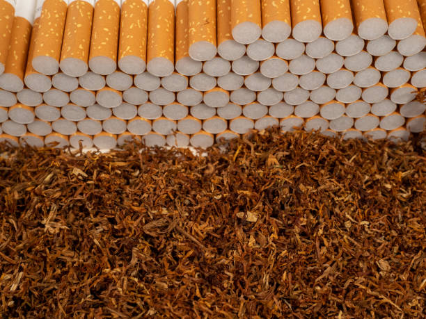 istock Tobacco and cigarette cases. Cigarettes and tobacco. 1485504663