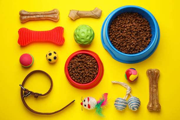 istock Flat lay composition with pet toys and feeding bowl on yellow background 1485512317