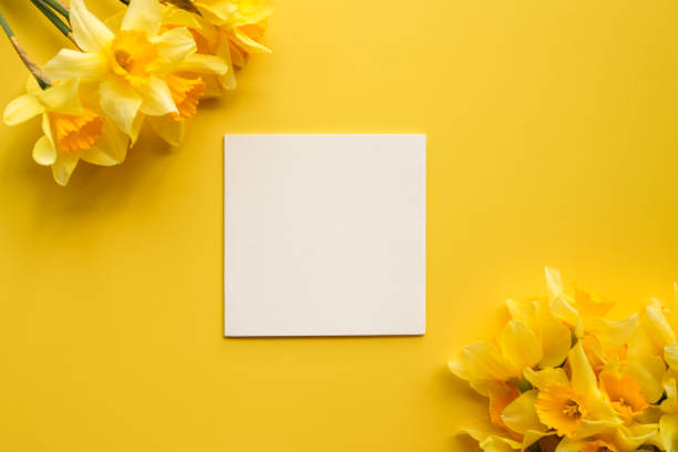 istock Greeting card with place for your text, gift box and spring flowers 1485514720