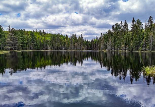 istock Tranquil lake surrounded by lush forest against a backdrop of white clouds and a vibrant blue sky 1485521570