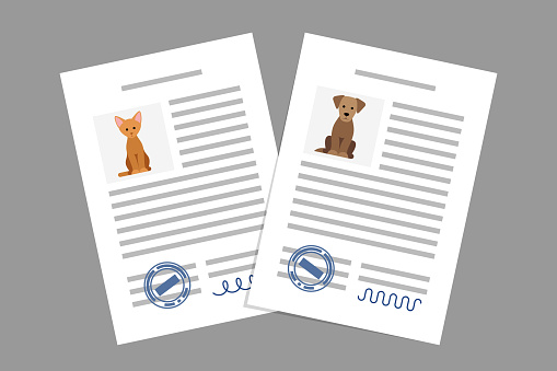 Documents with cat and dog photos, signatures and stamps. Concept of pet adoption or sale agreement, pet care