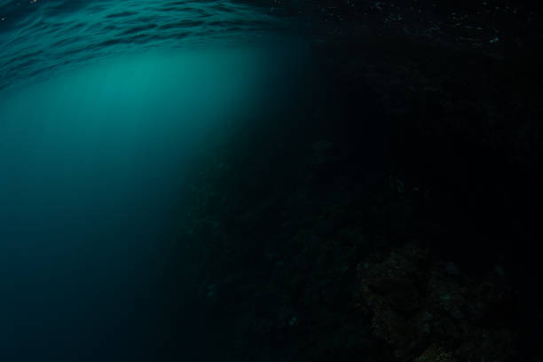 istock Darkness Underwater in Raja Ampat 1485534108