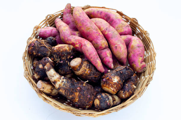 Yacon or Smallanthus sonchifolius for sale in the market
