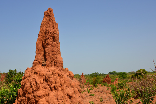 Biombo Region, Guinea-Bissau: 5 meter / 12 ft tall termite hill made of red earth - anthill / termite mound.